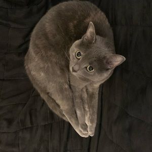 Meet your Posher, Al